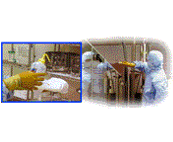 The GMP of Cleaning and Disinfecting, Cleanroom GMP Training, Run Time: 38 Minutes, MV-GMP-0419