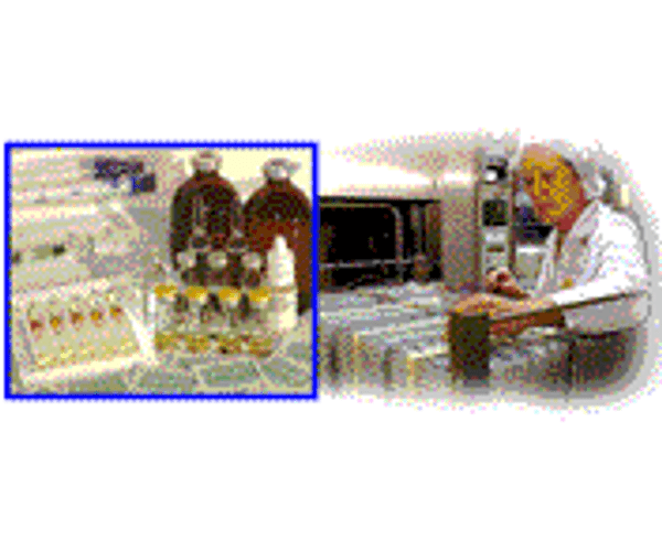 Understanding Heat Sterilization, Cleanroom GMP Training, Run Time: 19 Minutes, MV-GMP-0423