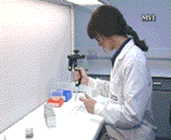 Figures and Calculations, Laboratory Training, Run Time: 11 Minutes, MV-LAB-0720